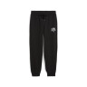 Штани спортивні PUMA CLASS Sweatpants 68503701 Puma L Чорний 68503701
