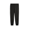 Штани спортивні PUMA CLASS Sweatpants 68503701 Puma L Чорний 68503701