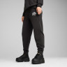 Штани спортивні PUMA CLASS Sweatpants 68503701 Puma L Чорний 68503701