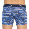 Труси-боксери Puma LOGO AOP BOXER 2P синій, білий Чол L 501003001-010