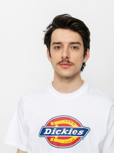 Футболка Dickies ICON LOGO TEE DK0A4XC9WHX1