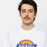 Футболка Dickies ICON LOGO TEE DK0A4XC9WHX1