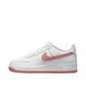Кросівки Nike AIR FORCE 1 (GS) DV7762-102