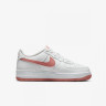 Кросівки Nike AIR FORCE 1 (GS) DV7762-102