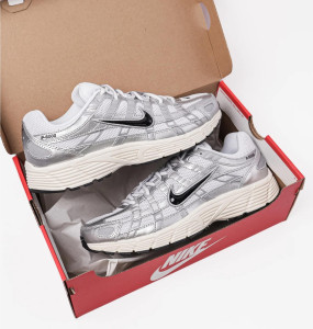 Кросівки Nike P-6000 CD6404-105