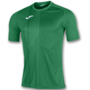 Футболка Joma TIGER 100945.450 зелена 100945.450