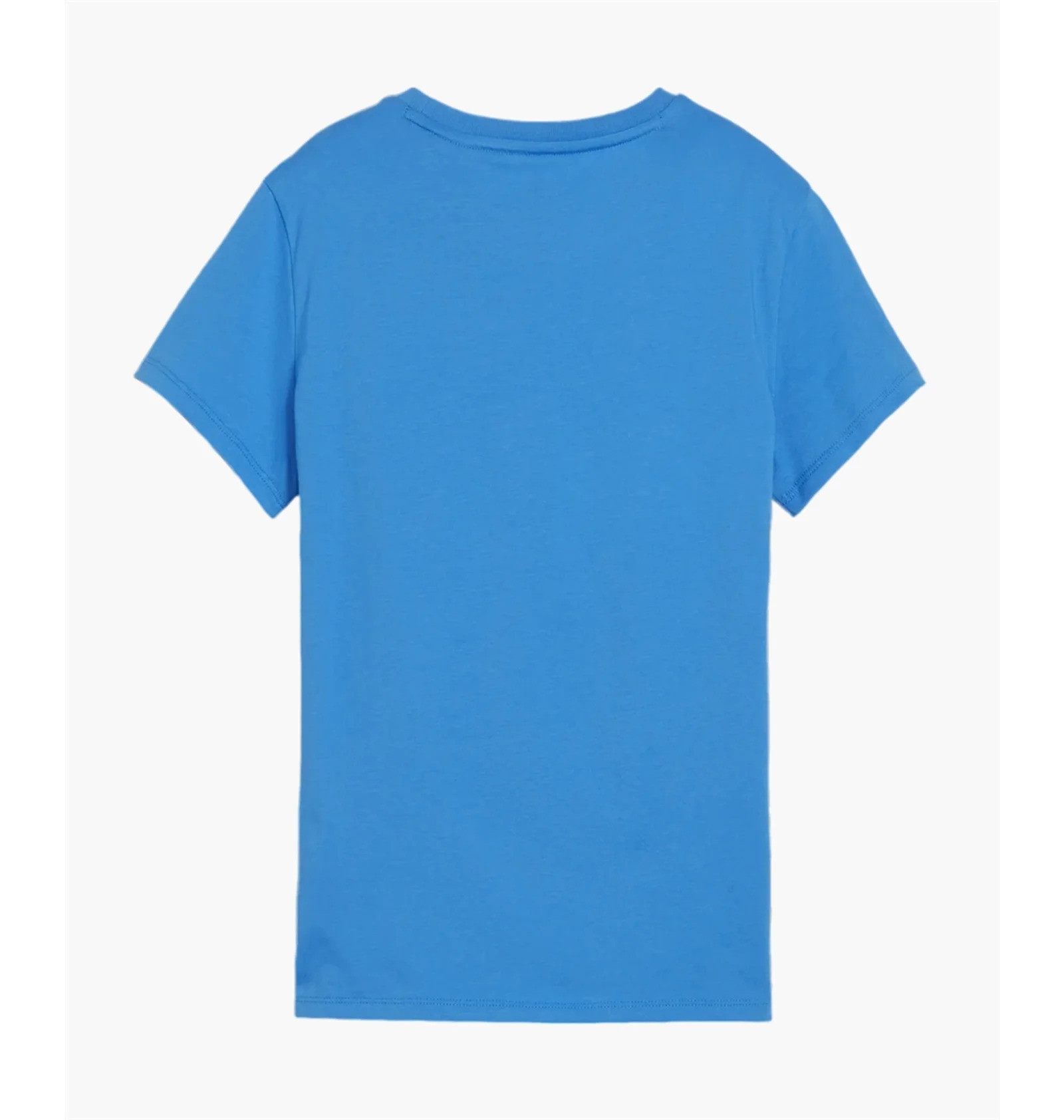 Футболка Puma teamGOAL Casuals Tee Wmn 658617-02