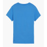 Футболка Puma teamGOAL Casuals Tee Wmn 658617-02