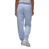 Штани Nike Jordan Brooklyn Fleece Pants FV7077-407