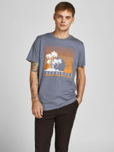 Футболка JJPALM TEE SS 12200243-Grisaille-Fit:Standard Fit Jack&Jones L Сірий 12200243-GRISAILLE-FIT:ST