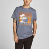 Футболка JJPALM TEE SS 12200243-Grisaille-Fit:Standard Fit Jack&Jones L Сірий 12200243-GRISAILLE-FIT:ST