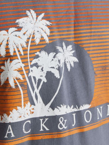 Футболка JJPALM TEE SS 12200243-Grisaille-Fit:Standard Fit Jack&Jones L Сірий 12200243-GRISAILLE-FIT:ST
