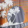 Футболка JJPALM TEE SS 12200243-Grisaille-Fit:Standard Fit Jack&Jones L Сірий 12200243-GRISAILLE-FIT:ST