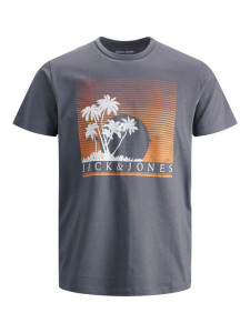 Футболка JJPALM TEE SS 12200243-Grisaille-Fit:Standard Fit Jack&Jones L Сірий 12200243-GRISAILLE-FIT:ST