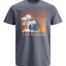 Футболка JJPALM TEE SS 12200243-Grisaille-Fit:Standard Fit Jack&Jones L Сірий 12200243-GRISAILLE-FIT:ST
