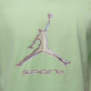 Футболка чоловіча Air Jordan Sport Green HQ7984-376