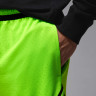 Шорти чоловічі Air Jordan Df Sprt Dmnd Green HF9910-358