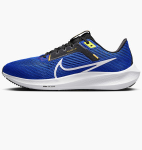 Кросівки Nike AIR ZOOM PEGASUS 40 DV3853-401