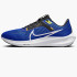 Кросівки Nike AIR ZOOM PEGASUS 40 DV3853-401
