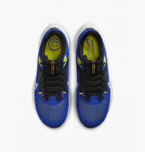 Кросівки Nike AIR ZOOM PEGASUS 40 DV3853-401