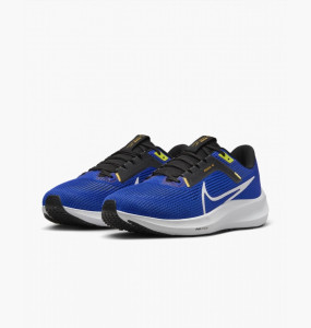Кросівки Nike AIR ZOOM PEGASUS 40 DV3853-401