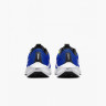 Кросівки Nike AIR ZOOM PEGASUS 40 DV3853-401