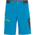 Шорти Salewa Pedroc Cargo 2 013.002.8014