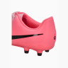 Бутси Nike JR LEGEND 10 CLUB FG/MG DV4352-601