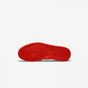 Кросівки JORDAN 1 LOW OG CZ0790-801