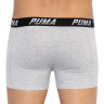Труси-боксери Puma LOGO AOP BOXER 2P сірий, білий, чорний Чол L 501003001-200