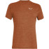 Футболка Salewa Puez Melange Dry 013.012.1230