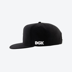 Бейсболка DGK HOOLIGAN SNAPBACK heh-1231