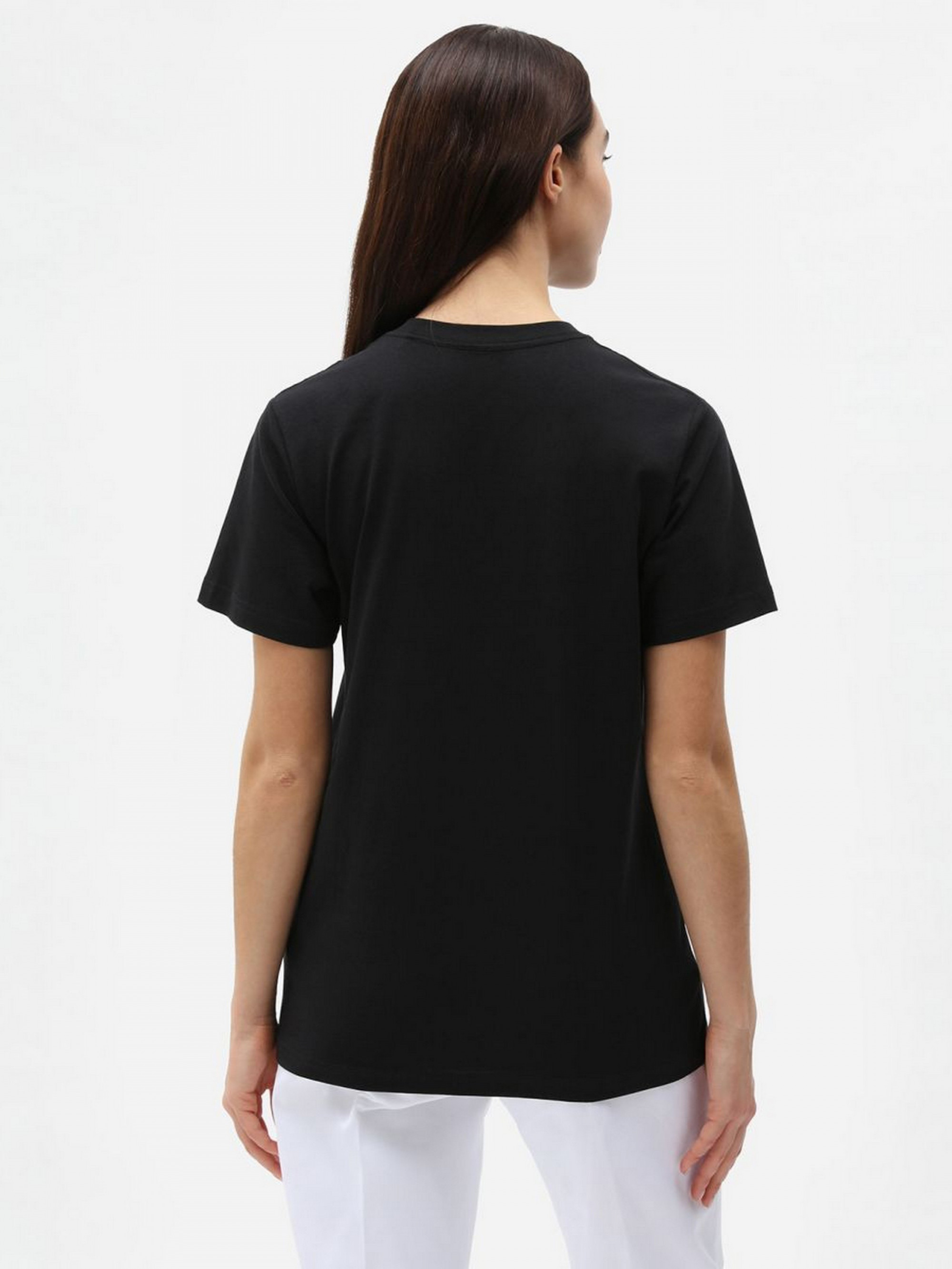 Футболка Dickies SS MAPLETON TEE DK0A4XDABLK1