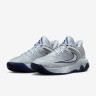 Кросівки Nike GIANNIS IMMORTALITY 4 FQ3680-008