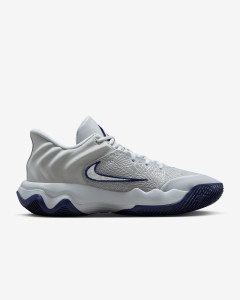 Кросівки Nike GIANNIS IMMORTALITY 4 FQ3680-008