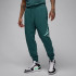 Штани JORDAN M J ESS FLC BASELINE PANT FD7345-366
