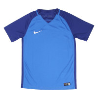Футболка Nike Y NK DRY TROPHY III JSY SS 881484-463