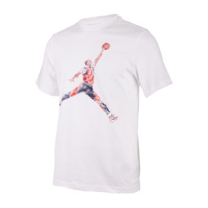 Футболка JORDAN M J BRAND JM WTRCLR SS CREW FN5980-100