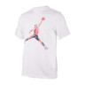 Футболка JORDAN M J BRAND JM WTRCLR SS CREW FN5980-100