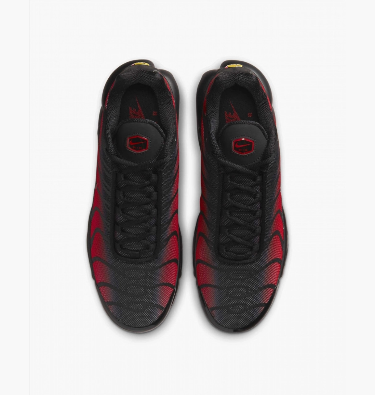 Кросівки Nike AIR MAX PLUS DZ4507-600