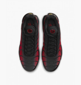 Кросівки Nike AIR MAX PLUS DZ4507-600