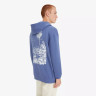 Кофта Levi's RELAXED FIT GRAPHIC HOODIE blue 384790296