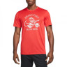 Футболка Nike Men's Dri-FIT Legend Short Sleeve T-Shirt red DM6283-657