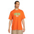 Футболка Nike SB Skate T-Shirt FJ1143-893 Футболка Nike SB Skate T-Shirt FJ1143-893