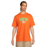 Футболка Nike SB Skate T-Shirt FJ1143-893