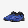 Кросівки Jordan Zion 2 Hyper Royal (GS) DV0739-410