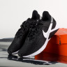 Кросівки Nike Legend Essential 2 CQ9356-001