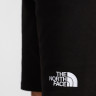 Шорти STAND SHORT LIGHT 0A3S4EJK31 THE NORTH FACE S Чорний 0A3S4EJK31