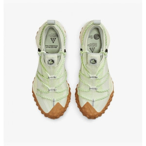 Кросівки Nike ACG MOUNTAIN FLY LOW GTX SE DD2861-001