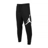 Штани JORDAN JUMPMAN LOGO FLC PANT, BQ8646-010